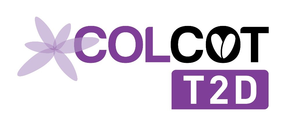 COLCOT-TD2 Logo